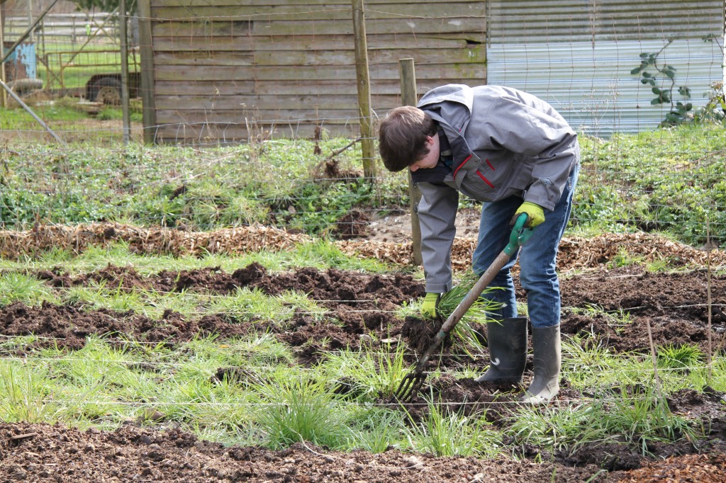 James works on preparing this area for new garden beds.