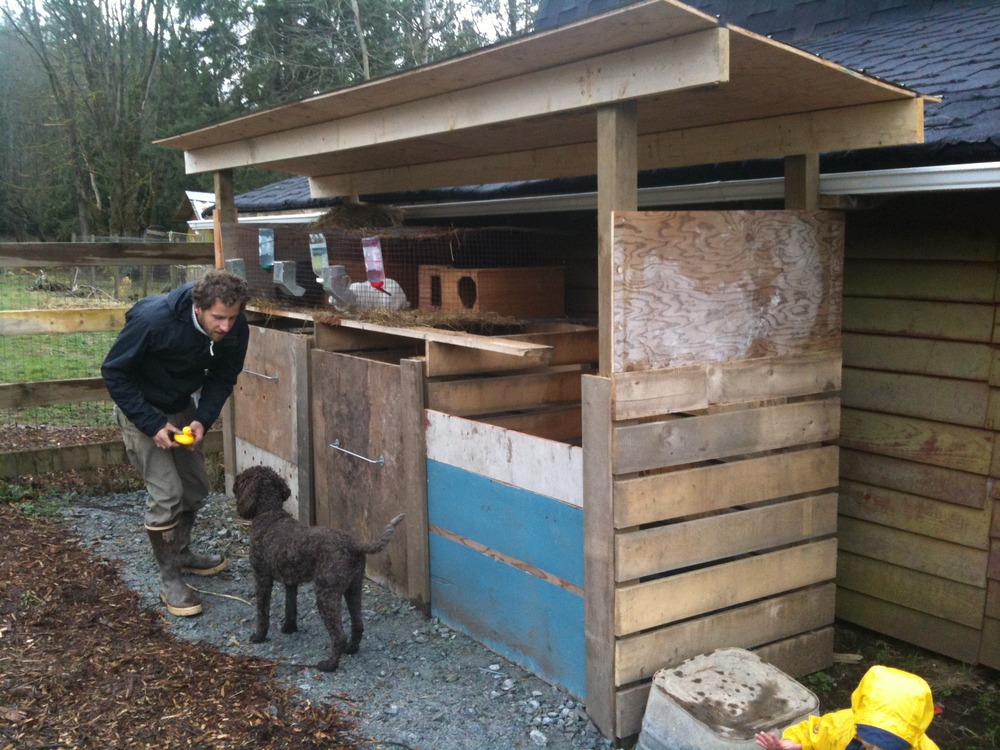 combining the rabbit hutch the compost system The Farm for Life Project